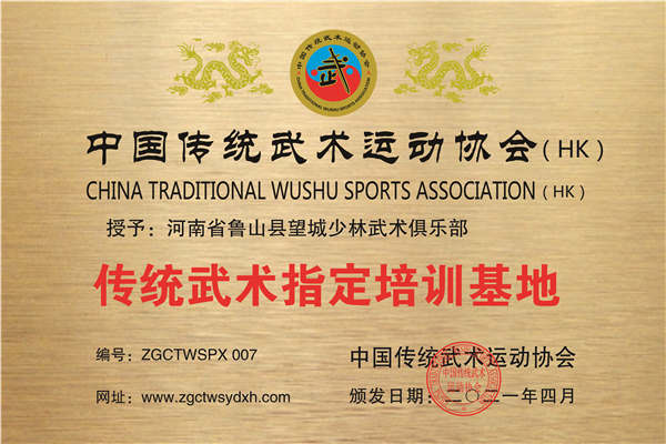 河南省鲁山县望城少林武术俱